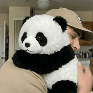 The Paudy — Emotional Healing On Demand