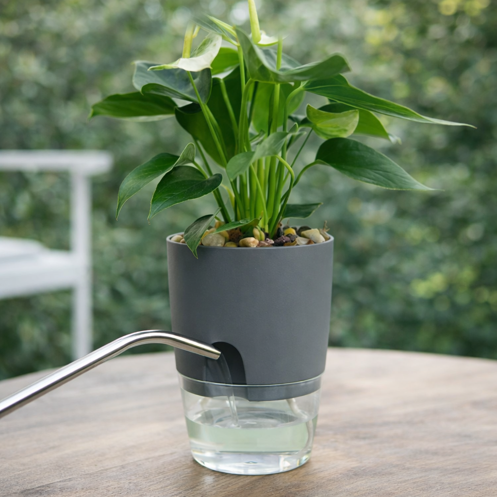 Self Watering Plant Pots with Wick System for Indoor Plants