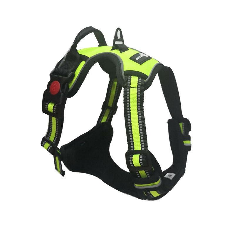 Adjustable Dog Harness