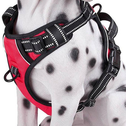 Adjustable Dog Harness